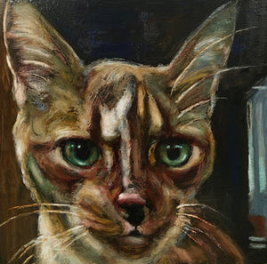 Custom Cat Portraits - An Act of Dog-Museum of Compassion 