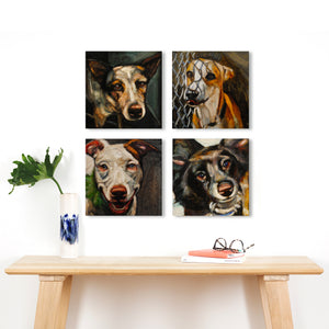 Save Them All Wall-Shelter Dog Portraits