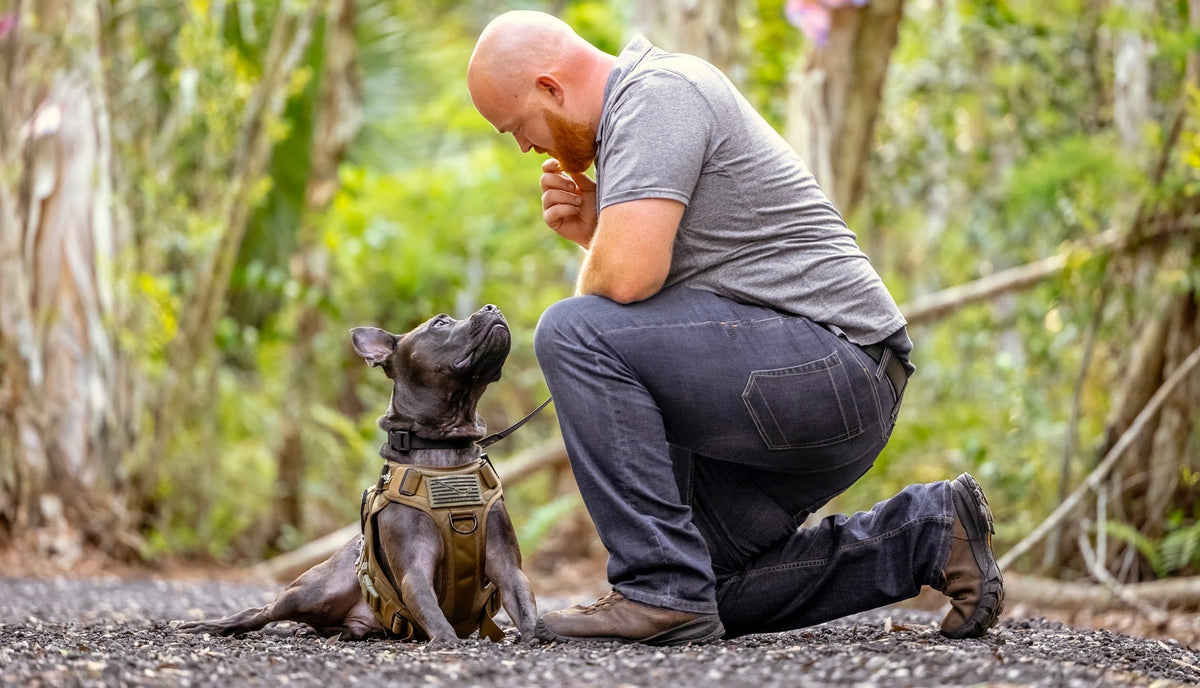 My depression crept back in...