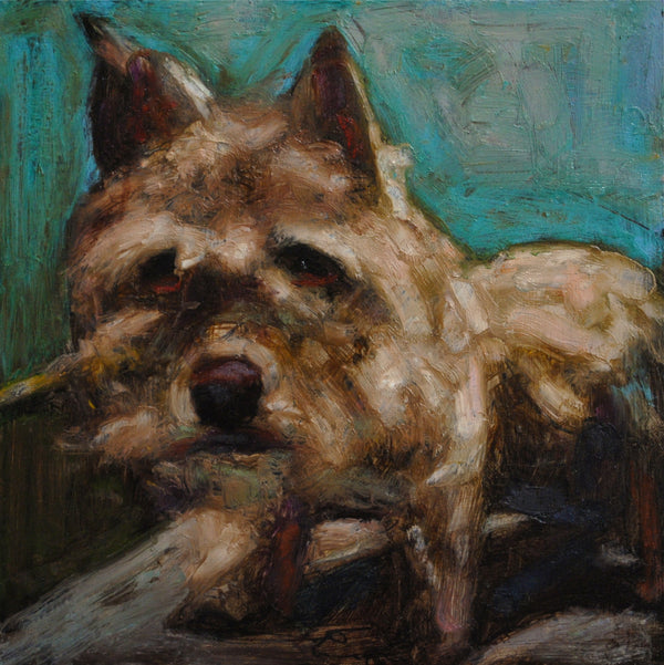 Donation ~ Pooch - An Act of Dog-Museum of Compassion 