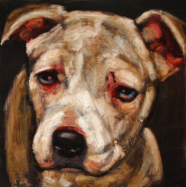 Donation ~ Lulu - An Act of Dog-Museum of Compassion 
