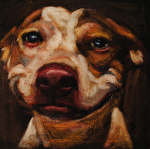 Donation-Katrina - An Act of Dog-Museum of Compassion 