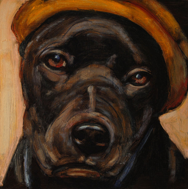 Donation-Leo - An Act of Dog-Museum of Compassion 