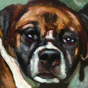 Donation ~ George - An Act of Dog-Museum of Compassion 