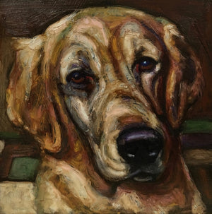 All Animals/Pet Portraits-24" x 24" - An Act of Dog-Museum of Compassion 