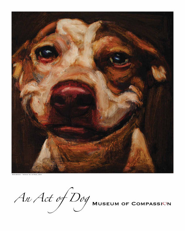 Katrina - Giclee Dog Print - An Act of Dog-Museum of Compassion 