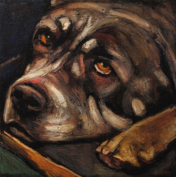 Donation ~ Leatrice - An Act of Dog-Museum of Compassion 