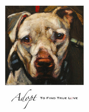Adopt-To Find True Love/ Giclée Dog Print - An Act of Dog-Museum of Compassion 