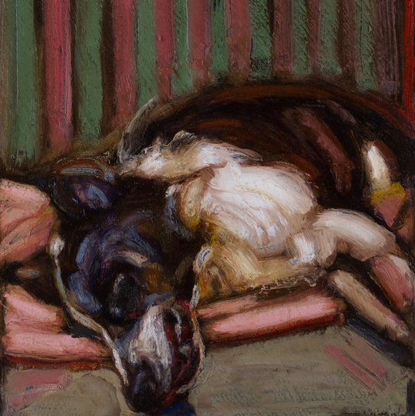 Donation ~ Mira - An Act of Dog-Museum of Compassion 