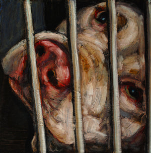 Donation-Sophia - An Act of Dog-Museum of Compassion 